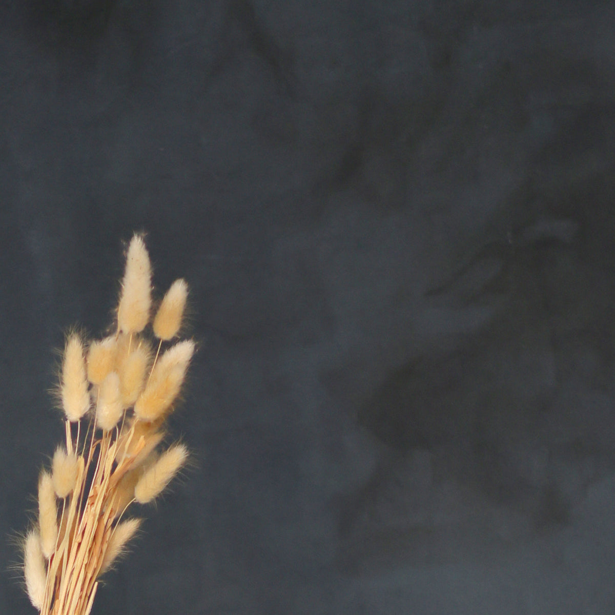 Leren fotoachtergrond | Dirty Blue