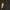Leren fotoachtergrond | Jungle green