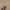 Leren fotoachtergrond | Stro beige