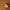 Leren fotoachtergrond | Moroccan Sand