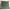 Leren fotoachtergrond | Pine green