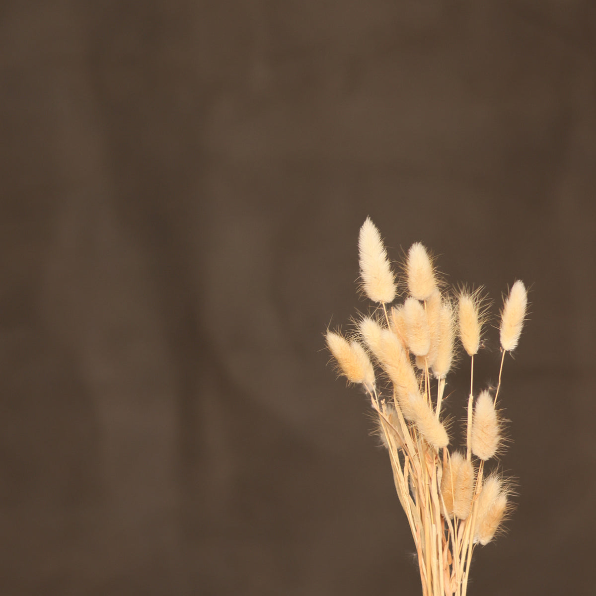 Leren fotoachtergrond | Khaki grijsbruin