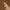 Leren fotoachtergrond | Truffel bruin