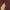 Leren fotoachtergrond | Buffalo Brown