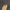 Leren fotoachtergrond | Blotched