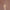 Leren fotoachtergrond | Clay brown