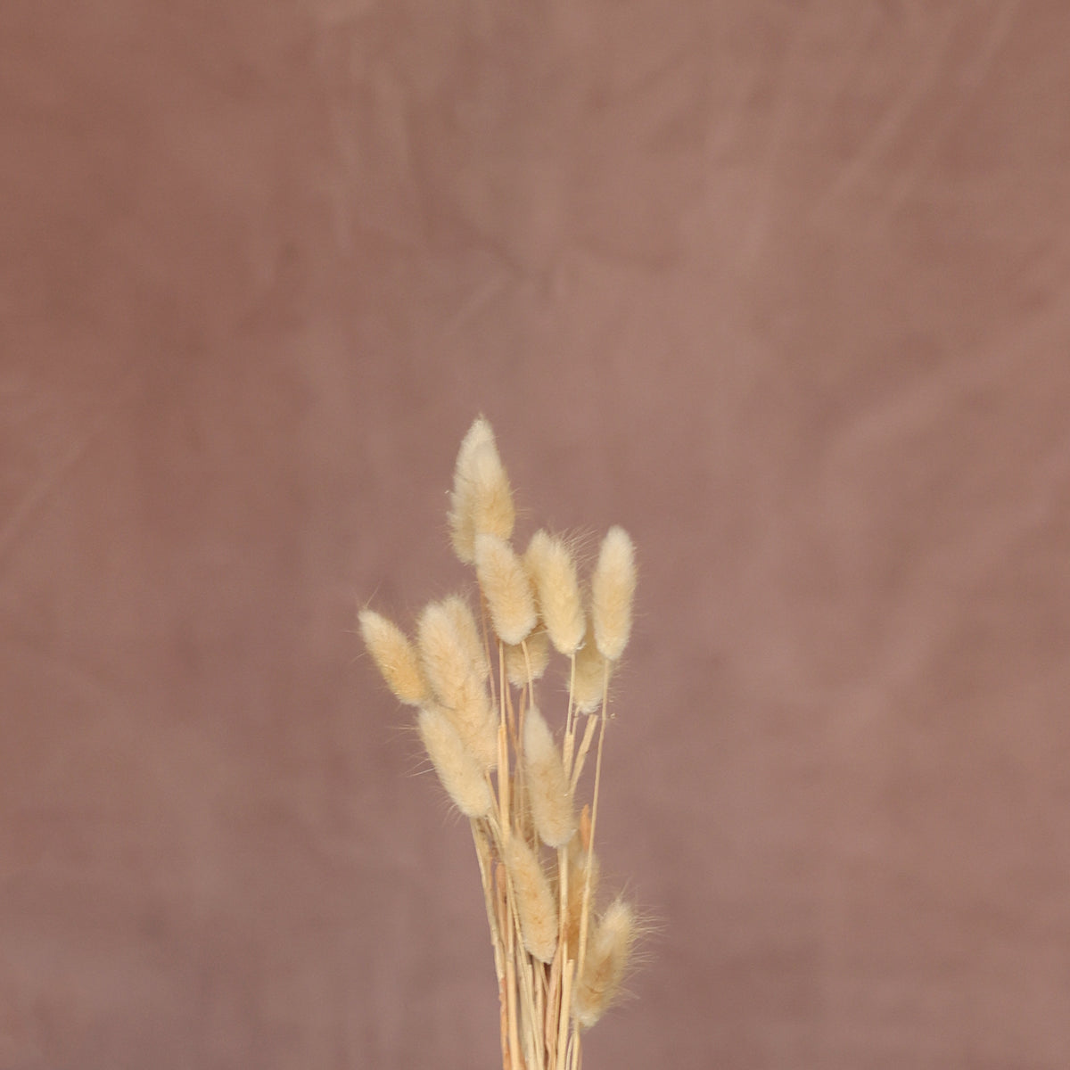 Leren fotoachtergrond | Clay brown