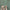 Leren fotoachtergrond | Rosemary Green