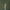 Leren fotoachtergrond | Bamboo