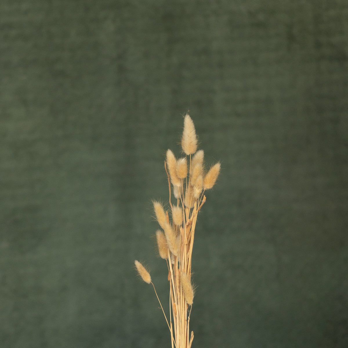 Leren fotoachtergrond | Bamboo