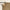 Leren fotoachtergrond | Fawn beige