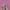 Leren fotoachtergrond | Flamingo