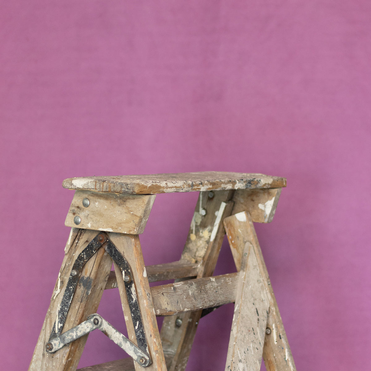 Leren fotoachtergrond | Flamingo