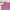 Leren fotoachtergrond | Flamingo