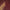 Leren fotoachtergrond | Vino