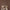 Leren fotoachtergrond | Sequoia