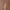 Leren fotoachtergrond | Umber