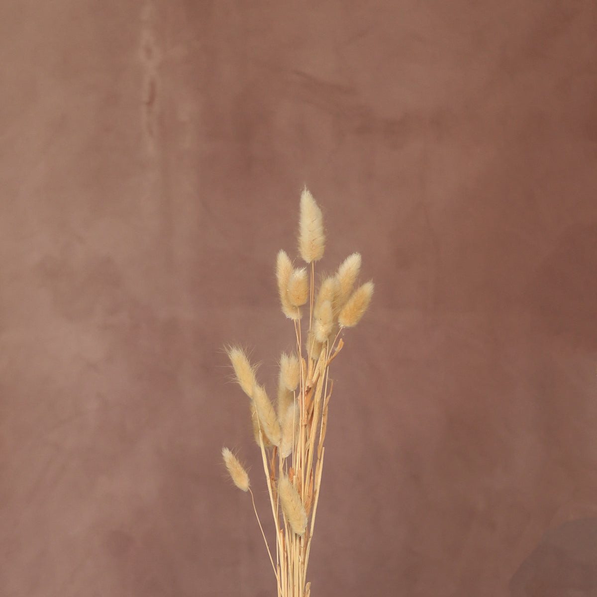 Leren fotoachtergrond | Umber