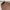 Leren fotoachtergrond | Umber