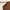 Leren fotoachtergrond | Brown boots