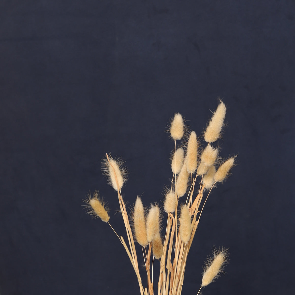 Leren fotoachtergrond | Merlin blue