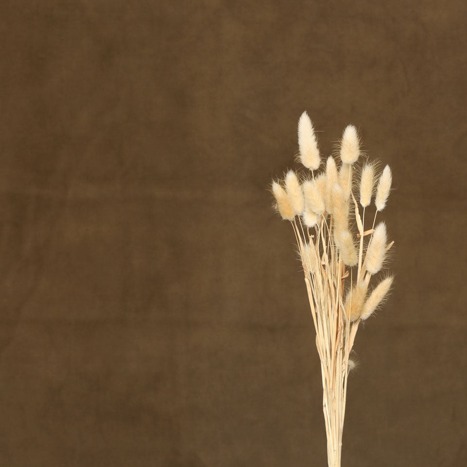 Leren fotoachtergrond | Golden Earth