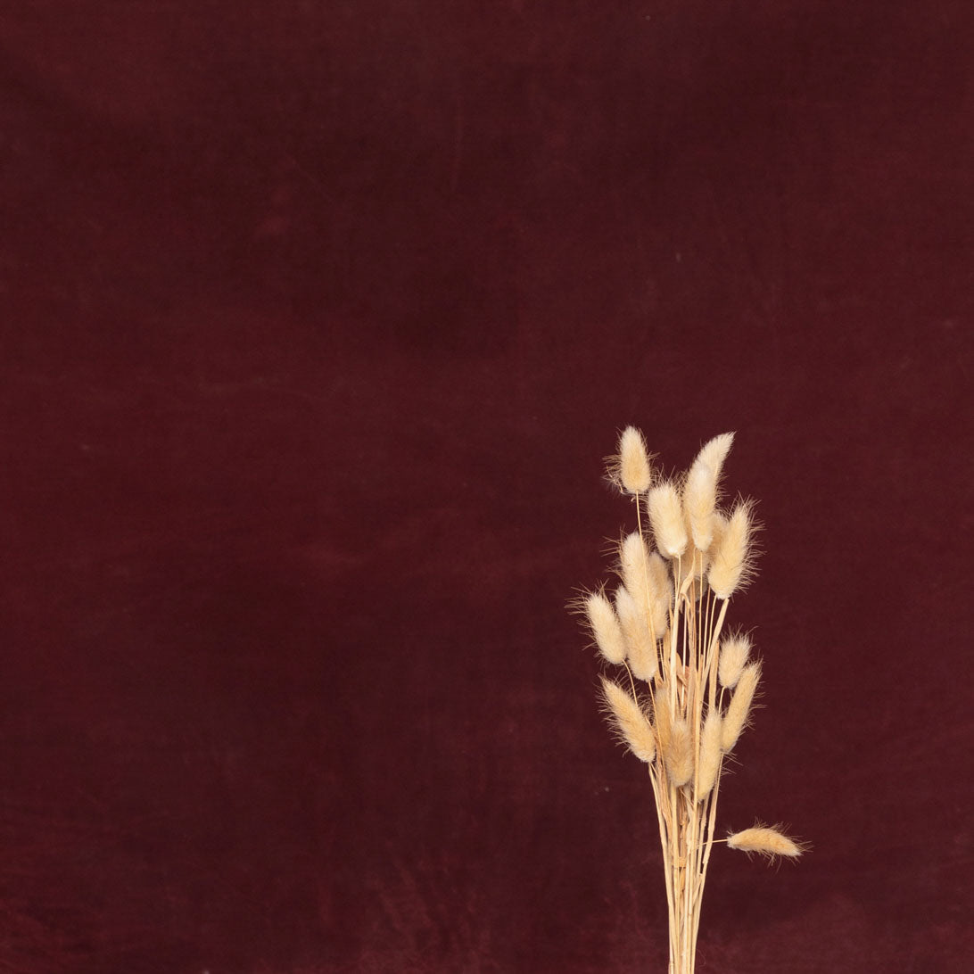 Leren fotoachtergrond | merlot