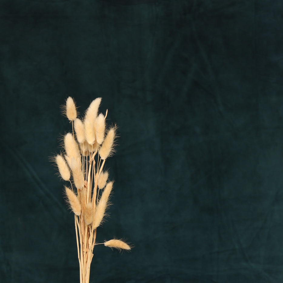 Leren fotoachtergrond | elegance spruce