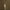 Leren fotoachtergrond | Dark Almond