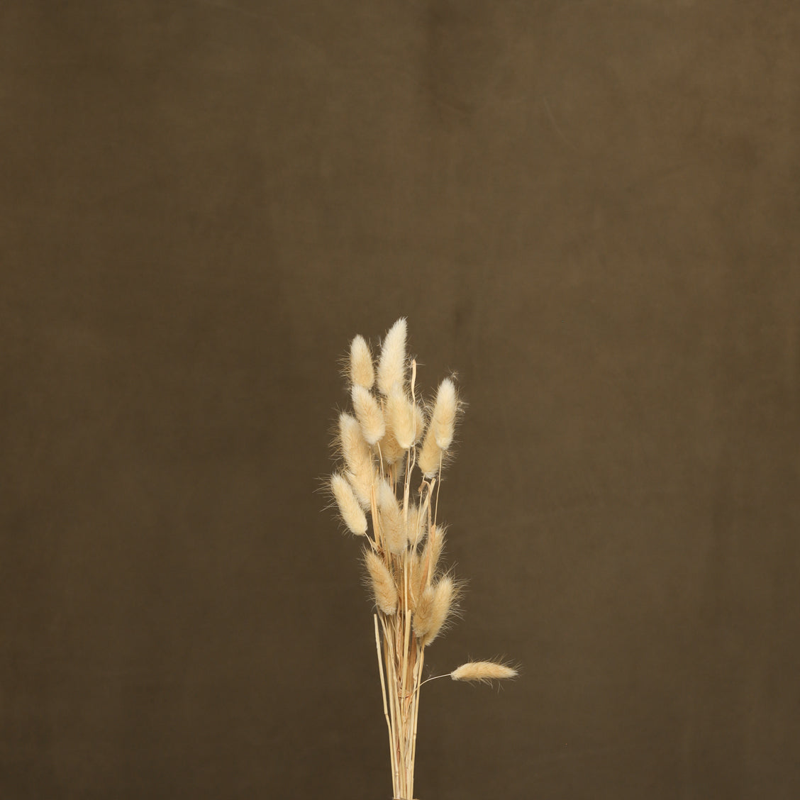 Leren fotoachtergrond | Dark Almond
