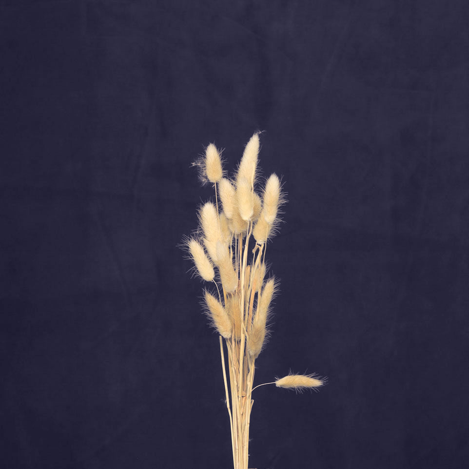 Leren fotoachtergrond | Indigo