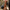 Camera neckstrap in chestnut van the hantler met personalisatie