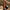 Sterke leren camera neckstrap in chestnut van the hantler
