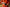 Promotiebanner