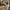 fotograaf draagt een warme teddy camera neck strap in beige