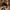 fotograaf met de warme teddy camera neck strap in bruin van the hantler