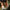leren camera harnas cognac detail bevestiging quick release aan camera