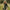fotografe met leren camera schouder strap in warm taupe
