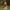 Fotograaf met leren camera neckstrap in army green van the hantler
