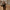 leren camera harnas brandy met quick release bevestiging